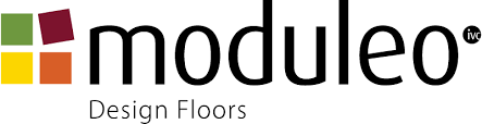 Logo Moduleo